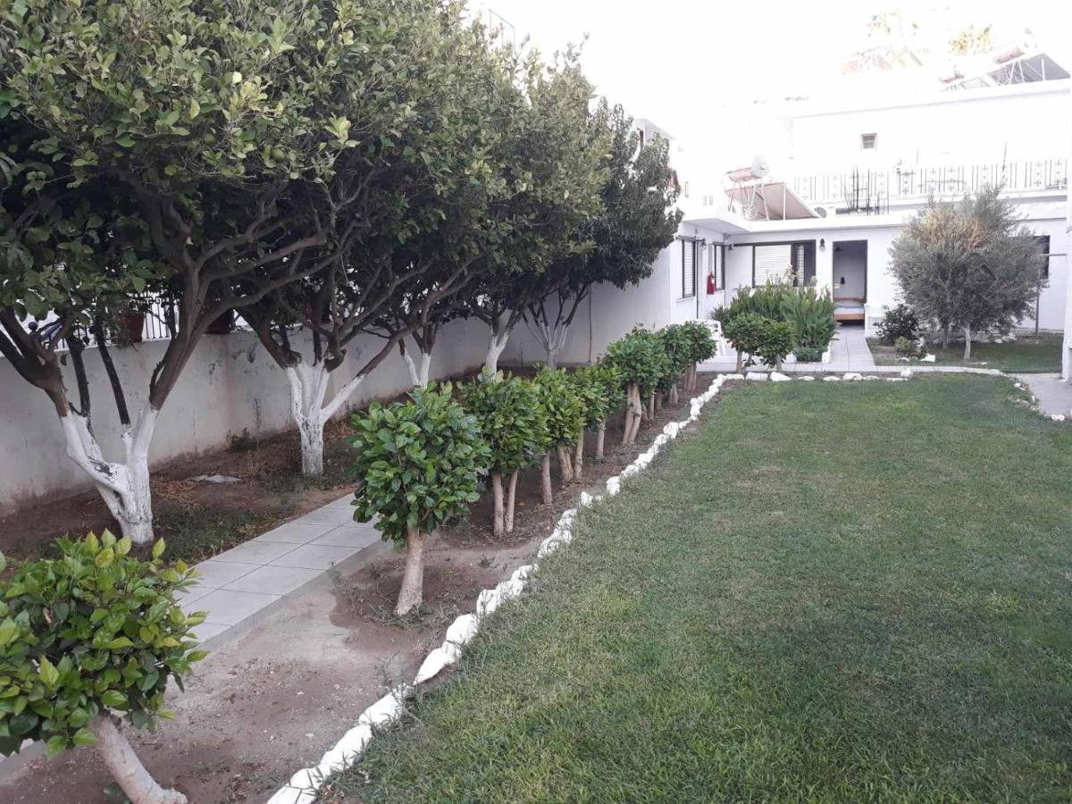 Andavis Hotel (Adults Only) Kardamena  Экстерьер фото